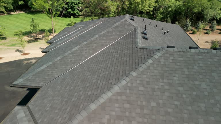 Best Roof Ventilation Installation  in Batavia, IL