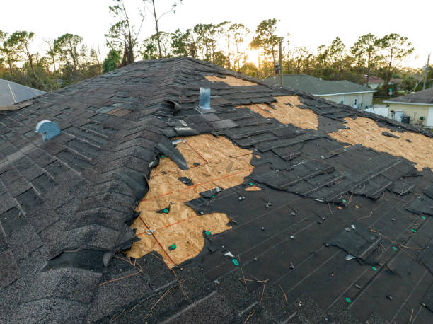 Best Roof Waterproofing  in Batavia, IL