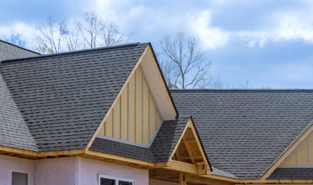 Best Roof Coating and Sealing  in Batavia, IL