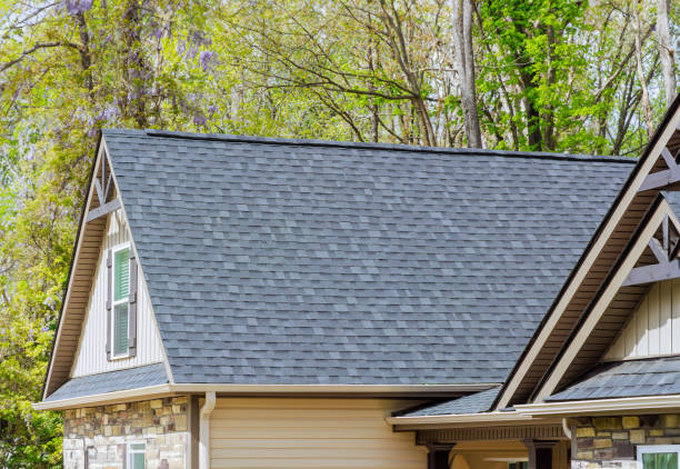 Best Solar Panel Roofing Installation  in Batavia, IL